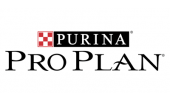 Pro Plan