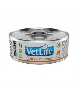 Vet Life WF Cat Convalescence