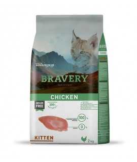 Bravery Chicken Kitten