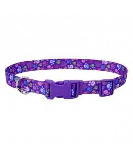 Coastal Style Collar Skulls